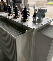 Transformateurs immergés dans l'huile Copper S22-M-800/10