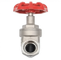 Válvulas de Compuerta Roscadas de Sellado Suave de Acero Inoxidable 304/316 para Altas Temperaturas, Manuales de Fábrica, para Herramientas HVAC