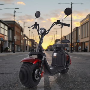 Precio de fábrica 60V <span class=keywords><strong>Harley</strong></span> DIY Grado Scooter eléctrico para pilotos para motocicletas y coches para uso industrial - Product Image 6