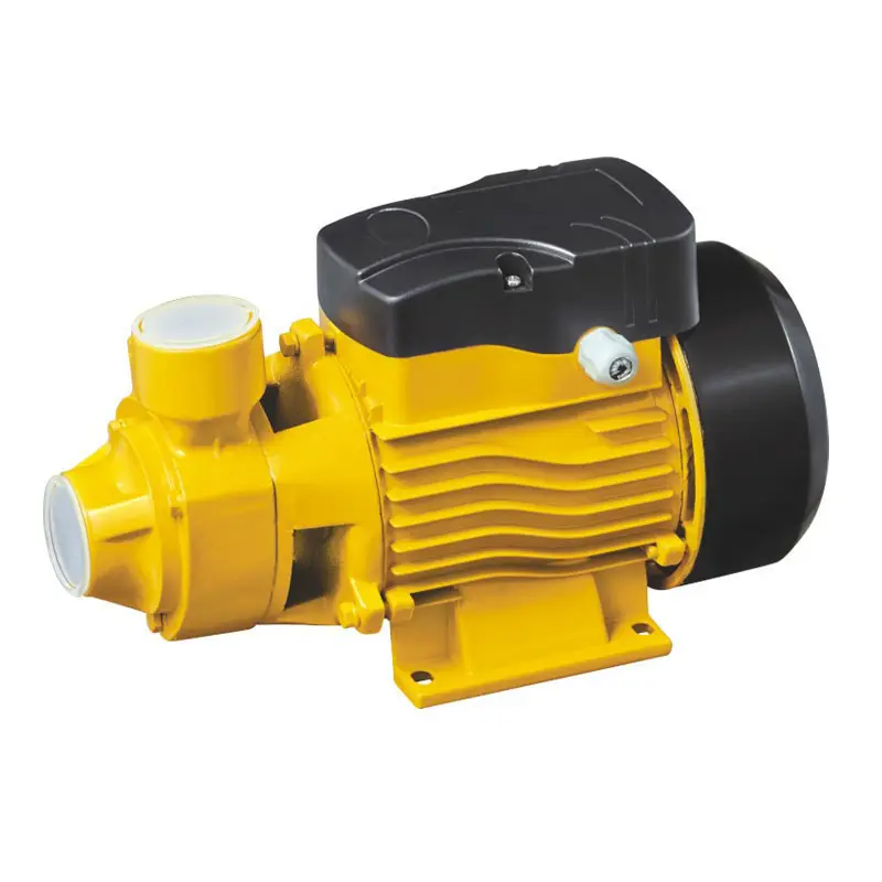 QB-80 1Inch 220V 1HP Cast Iron Self Priming Centrifugal Electric Water Pump For Farm Irrigation