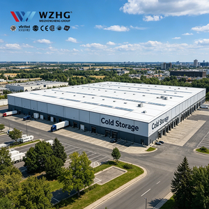 Industrial Refrigeration Warehouse Multi Function Q355b Steel Structure One Stop <b>Service</b> 5000sqm <b>Logistics</b> Company - Product Image 1