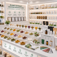 Poudre de L-Théanine de Qualité Alimentaire, Extrait de Thé Vert, Extraits par Solvant, CAS 3081-61-6, Soluble dans l'Eau, Conditionnement en Fût/Boîte/Bouteille, Vente en Gros