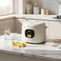 Cuiseur à riz électrique portable multifonctionnel de luxe avec micro-interrupteur, modèle 1,5 L, cuiseur vapeur automatique polyvalent avec spatule