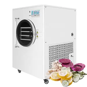 Venta caliente global, pequeño liofilizador automático, pequeño liofilizador, máquina liofilizadora para alimentos