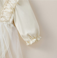Robe de princesse en tulle pour bébé fille, tenue de fête à manches longues et bouffantes pour le printemps et l'automne