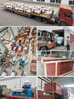 Línea de Producción Modular GLY250 para Refinación de Crudo de Soja, Girasol y Sésamo, Máquina Refinadora Nueva Semiautomática de Acero Inoxidable