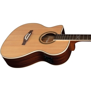Guitares EKO - NXT A100ce LH Guitares naturelles avec table en épicéa, dos et côtés en acajou, manche en acajou, touche en roupana sud-américaine - Product Image 3