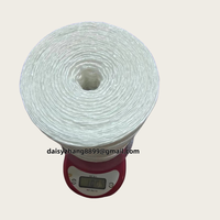 Anti UV alta tenacidad fuerza 1kg rollo blanco PP enrejado cordel para soluciones de invernadero y bolsas de costura