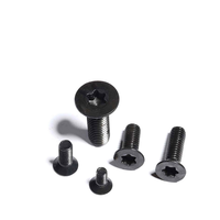 Mini vis à tête plate Torx acier inoxydable noir Adjusrabel Hate charnière M4 14mm oxyde noir tête fraisée plate acier métrique