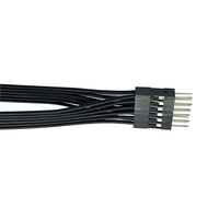 Kabel Harness Kustom Dua Baris Betina Jantan 2.54mm Pitch DuPont Plug Breadboard 24AWG Tembaga Berlapis Timah Selubung PVC untuk Peralatan Rumah Tangga