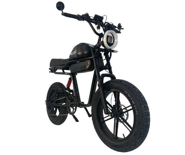 CXZN-NX1 48V750W 13+13Ah Lithium Ebike 20*4.0 Tire Electric Bike 7 Speed Adults Electric Commuting Bike 25-50km/h 60-90km Range