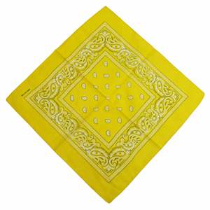 Pañuelo Promocional Personalizado de Primera Calidad con Logotipo, Pañuelo Serigrafiado para Campañas Electorales, Pañuelo para Agitar con la Mano, Fabricación en EE. UU. - Product Image 2