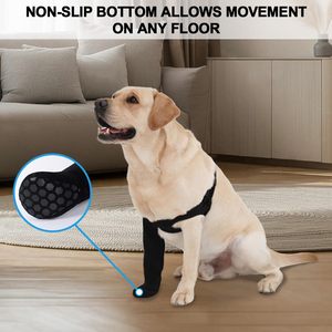 Conjunto de recuperación para perros, conjunto de recuperación postoperatoria para patas delanteras, rodilleras auxiliares para protección, equipo protector antilamido para mascotas - Product Image 5