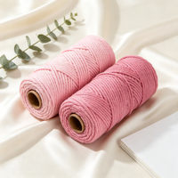 Cordon en coton tressé Nano Macramé pour suspension murale de plantes, artisanat DIY, tricot, crochet, sac, accessoires de décoration intérieure