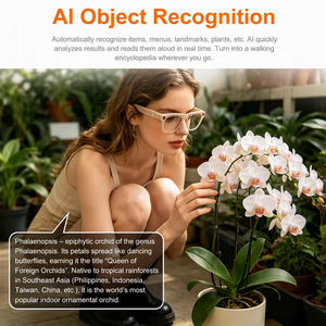 Lunettes intelligentes de traduction en temps réel avec IA, commande vocale, lunettes de soleil vidéo Bluetooth, caméra HD 8MP pour la photographie de voyage - Product Image 5