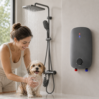 Chauffe-eau électrique sans réservoir 6KW mural à chauffage instantané avec contrôle de température réglable