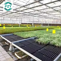 Bancs et tables roulants à vendre Produit de trésorerie Hydroponique Cultiver Tomate Légumes Plant Seedbed Ebb And Flow Tray