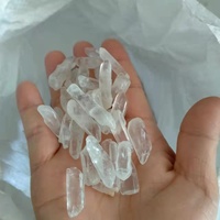 Petite graine naturelle de lémurien Quartz clair Point de cristal brut