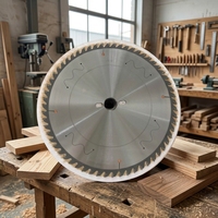 Vente en gros usine Lame de scie circulaire TCT 12 pouces 300 mm 60T à dents ATB certifiées en carbure de tungstène pour une coupe propre du bois dur massif