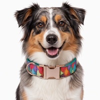Collier pour chien et chat à motif écailles de sirène vibrant, rembourré pour plus de confort, boucle à dégagement rapide or rose, anneau en D réglable, tailles S, M, L