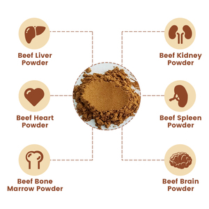 Caldo de carne de hueso Healthife alimentado con hierba caldo de hueso de res en polvo ingredientes de cáscara de alta proteína caldo de hueso de Carne en polvo - Product Image 5