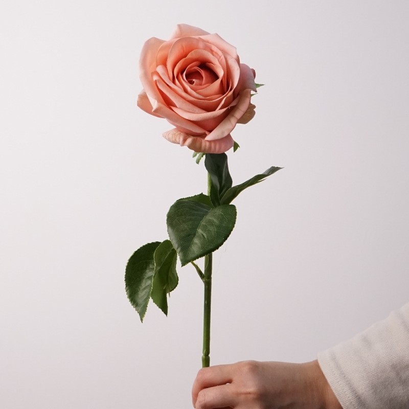 brown pink