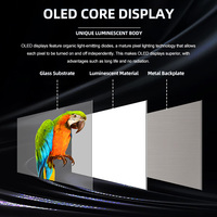 Écran tactile OLED transparent ultra-fin de 55 pouces à haute luminosité, animation optionnelle pour les vitrines commerciales, écran publicitaire