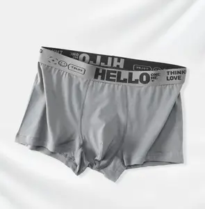 Aşınma altında OEM ODM özel Logo erkekler için baksır şort erkek külot boksörler iç çamaşırı