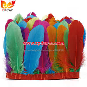 Zpdecor Usine En Gros Stock Oie Verte Nagoire Plume Garniture Frange pour Miami et Bahams Jankanoo Carnaval - Product Image 3