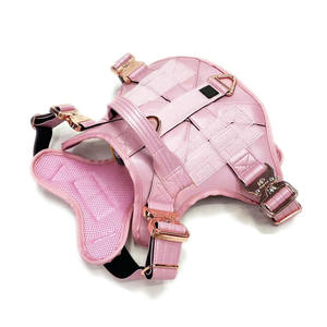 2024 desain baru kualitas tinggi tempur kulit tali anjing dengan gesper logam mewah dan empuk lembut - Product Image 1