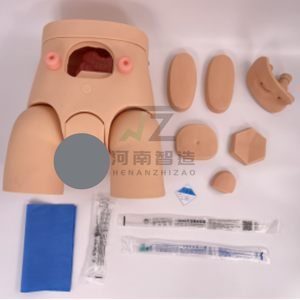 Nuevo Modelo de Cateterismo Masculino y Femenino, Modelo de Enseñanza y Entrenamiento Médico - Product Image 5