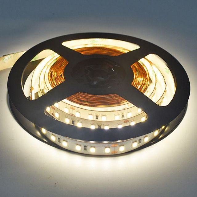 BRIGHT Shenzhen Lighting 12V 24V 120leds Light Led Garden Decorative Lights