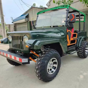 Venta Especial: Vehículo Eléctrico RC Clásico para Turismo, Certificado CE, 2/4/6 Asientos, Fabricado en China, 4x4 Todoterreno, Transporte Especial - Product Image 1