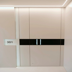 Pintu cor aluminium Gaya Prancis, kayu Solid dan desain polimer dengan bahan Aloi aluminium - Product Image 4
