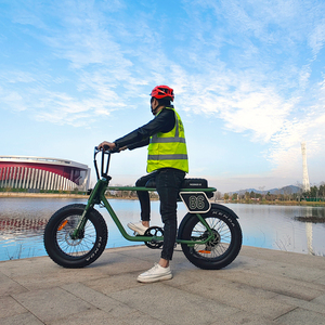 Vélo électrique de voyage tout-terrain pour adulte, 20 pouces, batterie lithium 73, freins à disque en aluminium, pour passager, du fabricant Fat Tire - Product Image 1