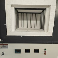 Horno de Mufla con Caja Calefactada de Silicio-Molibdeno 1700C, Calentamiento de Tres Lados, Control de Temperatura Programable, Entrega Rápida