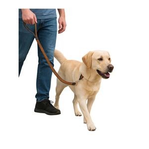 Factory Direct Zig Zag <b>Dog</b> <b>Leash</b> Stylish Pet Walking Training Lead with Strong Metal Clasp High Strength Nylon Material - Product Image 1