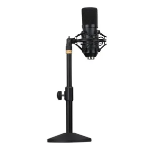 PC Microphone Recording Studio Microphone Arm Compatible with PC, Laptop, iPhone, iPad, Singing,Voice Recording,YouTube,Skype,Ga