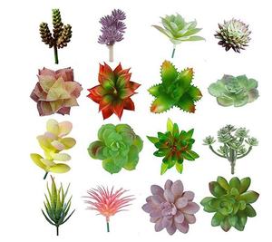 Mini suculentas artificiales <span class=keywords><strong>de</strong></span> plástico, varios tipos, ecológico, personalizado, para decoración interior del hogar - Product Image 3