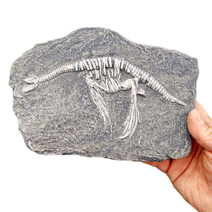 Decoración de Resina con Trilobites Fósiles para Terrarios de Reptiles y Anfibios y Decoración de Paisajes Desérticos - Duradera y Ecológica - Product Image 1