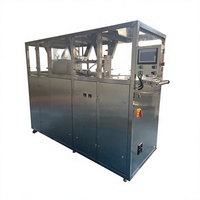 Machine de remplissage automatique de liquides Bag-in-Box à double tête en acier inoxydable 304 pour la production en usine, personnalisable OEM ODM