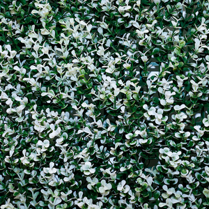 Pared verde de imitación botánica de alta calidad 100% Artificial para pared de fondo Tecnología táctil real Plástico con flor - Product Image 6