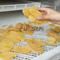 Máquina Secadora de Patatas Automática Profesional en Oferta, Deshidratador de Patatas de Gran Capacidad