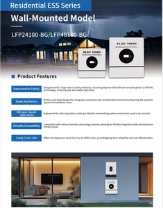 Baterías de Fosfato de Hierro y Litio Ecológicas de 2.56kWh para Montaje en Pared, 25.6v 100ah, con Sistema de Gestión de Baterías Inteligente - Product Image 3
