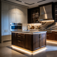 Meubles de cuisine de luxe minimalistes avec accents dorés, lave-vaisselle intégré et éclairage d'ambiance sous l'îlot