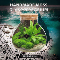 Pot en verre micro-paysage fait à la main couvercle en liège vase de table en gros pour mariages terrarium style art déco pour plantes aériennes