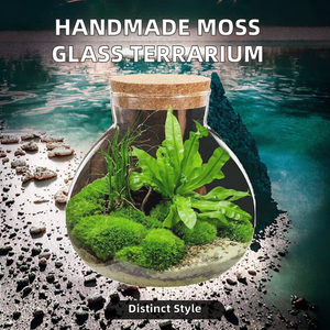 Pot en verre micro-paysage fait à la main couvercle en liège vase de table en gros pour mariages terrarium style art déco pour plantes aériennes - Product Image 2