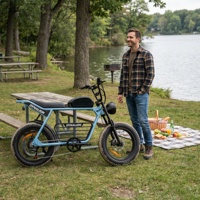 Vélo électrique tout-terrain à pneus larges avec freins à disque hydrauliques, Cruiser Lakeshore Access pour les itinéraires de pique-nique panoramiques