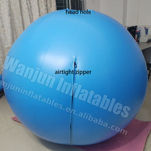 2024 vendita calda di alta qualità pvc gonfiabile palla tuta gonfiabile mirtillo palla vestito per il divertimento - Product Image 2