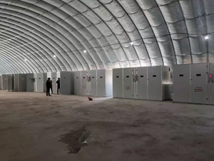 Incubateur 10000 Œufs Professionnel pour Éclosion – Machine Commerciale Avicole - Product Image 5